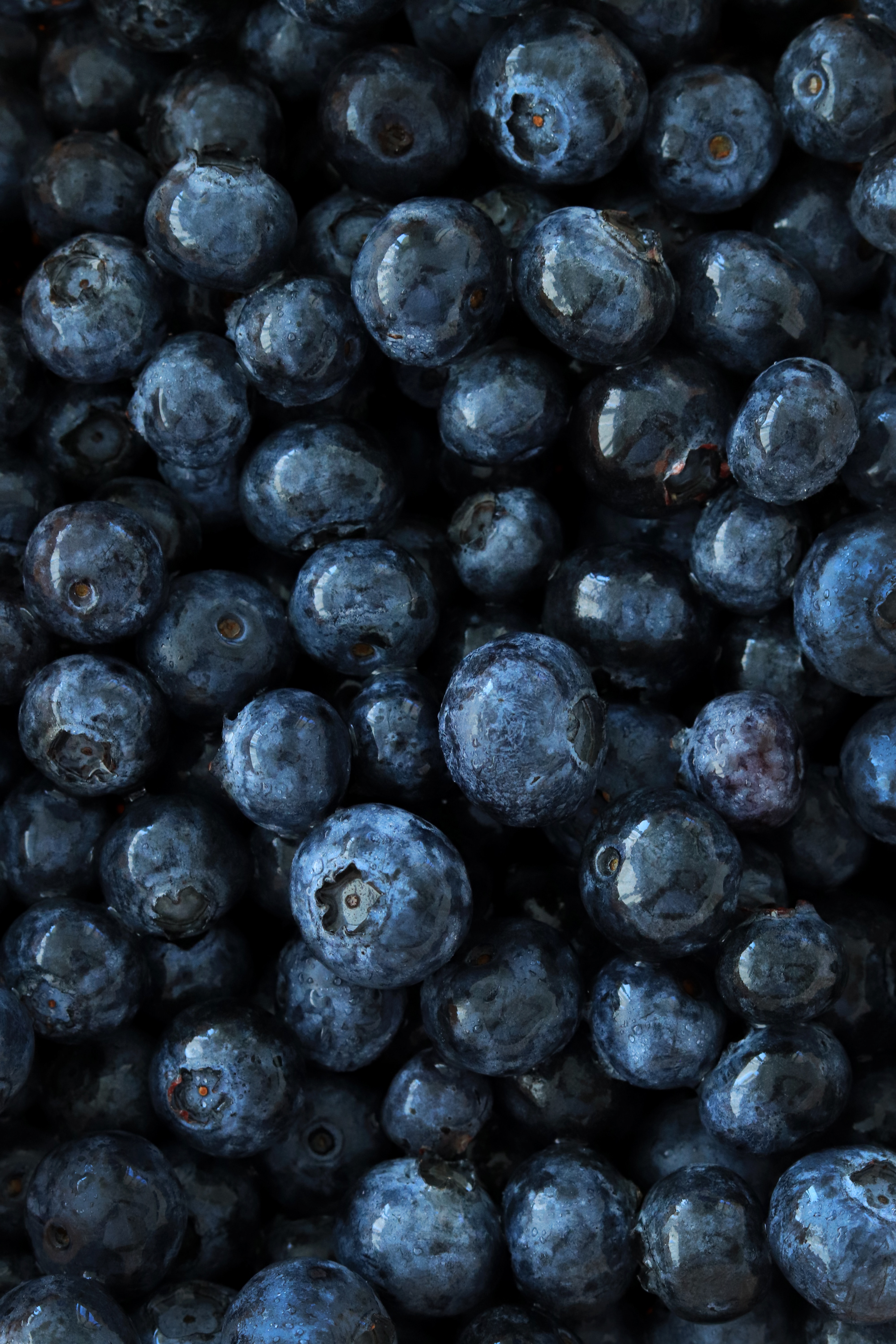 blueberries