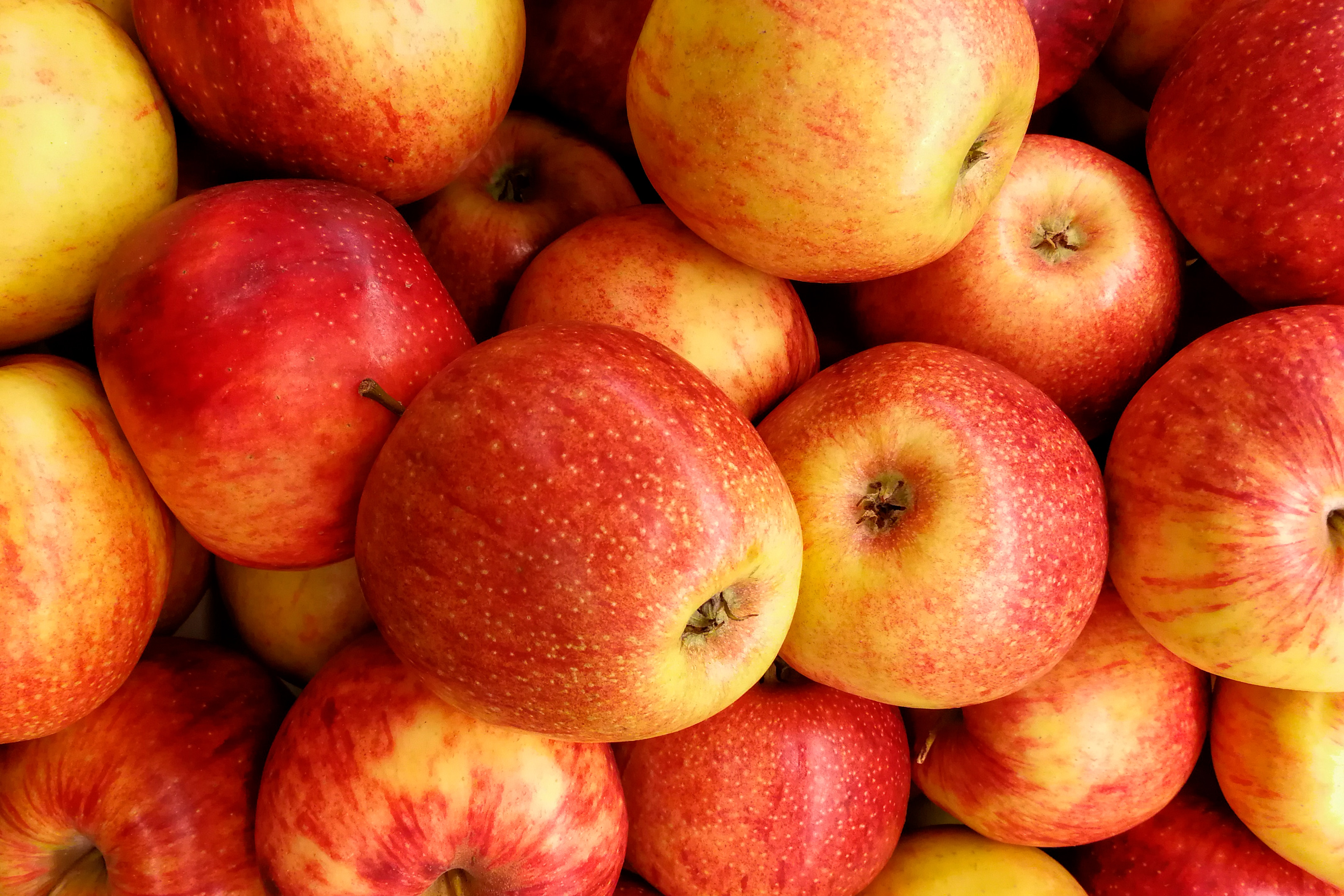 apples
